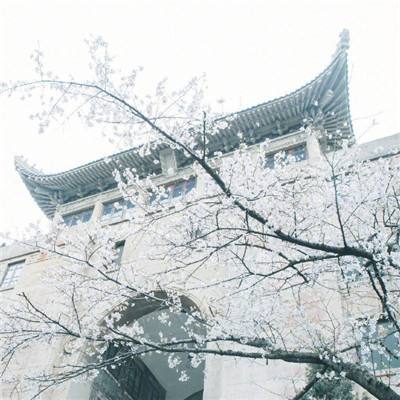 重磅福利 | “南京历史文献数据库”面向全社会免费开放